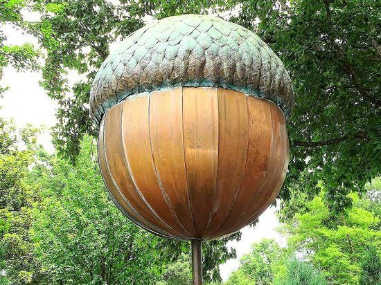 Acorn in Moore Square